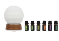 The.Diffuser + 6 Aroma&ouml;le